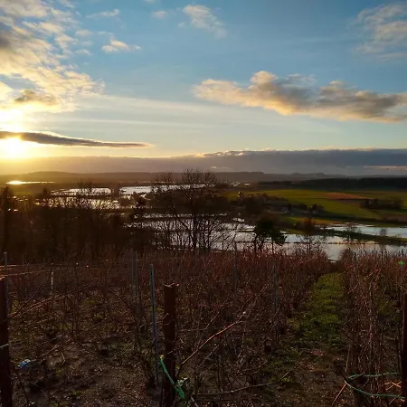 Tante Aurore Et D'hotes Chemery-Chehery